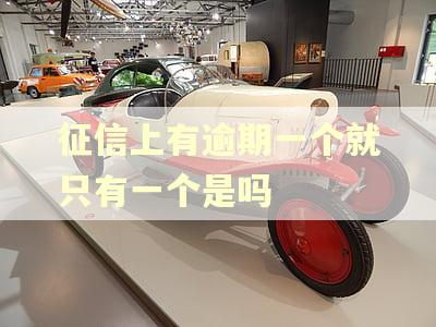征信上有逾期一个就只有一个是吗 征信上有逾期一个就只有一个是吗