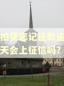 拍拍贷忘记还款逾期一天会上征信吗?