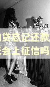 拍拍贷忘记还款逾期一天会上征信吗?