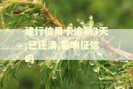 建行信用卡逾期3天,已还清,影响征信吗