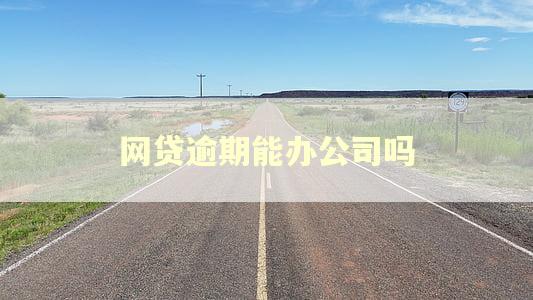 网贷逾期能办公司吗