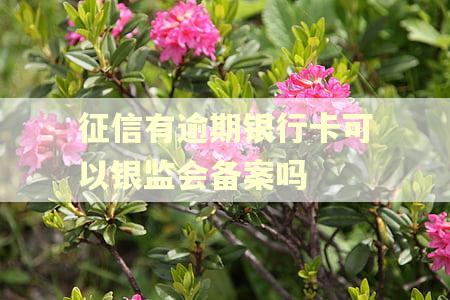 征信有逾期银行卡可以银监会备案吗