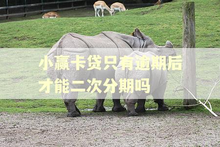 小赢卡贷只有逾期后才能二次分期吗