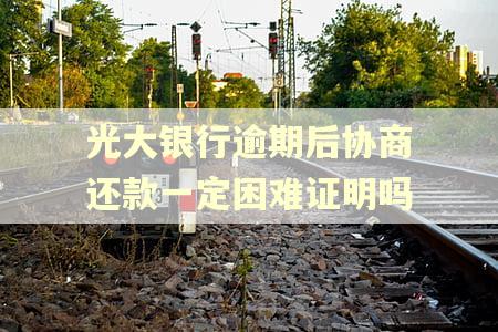 光大银行逾期后协商还款一定困难证明吗