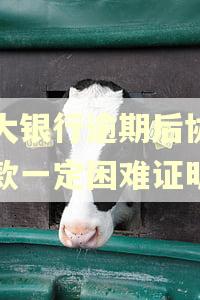 光大银行逾期后协商还款一定困难证明吗
