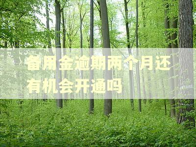 备用金逾期两个月还有机会开通吗