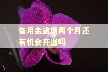 备用金逾期两个月还有机会开通吗 备用金逾期两个月还有机会开通吗