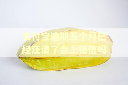 支付宝逾期五个月已经还清了会上征信吗