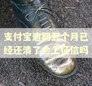 支付宝逾期五个月已经还清了会上征信吗