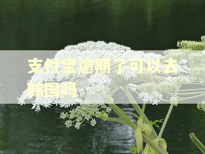 支付宝逾期了可以去韩国吗