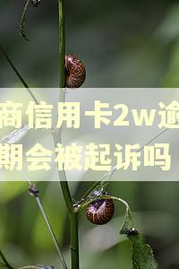 招商信用卡2w逾期两期会被起诉吗