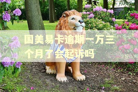 国美易卡逾期一万三个月了会起诉吗