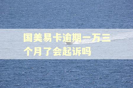 国美易卡逾期一万三个月了会起诉吗