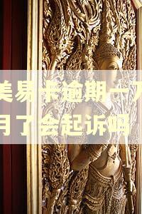 国美易卡逾期一万三个月了会起诉吗
