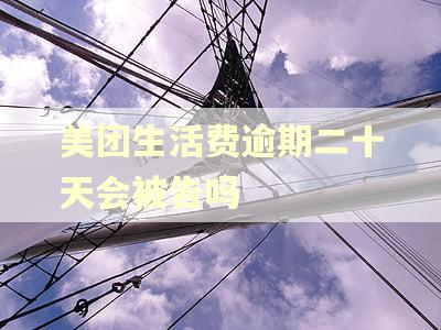 美团生活费逾期二十天会被告吗 美团生活费逾期二十天会被告吗