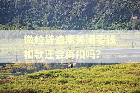 微粒贷逾期关闭零钱扣款还会再扣吗?