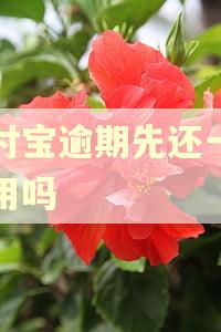 支付宝逾期先还一点有用吗