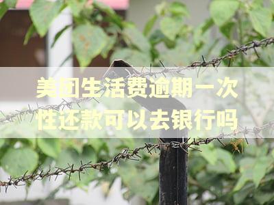 美团生活费逾期一次性还款可以去银行吗