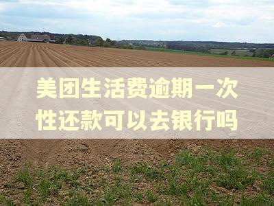 美团生活费逾期一次性还款可以去银行吗