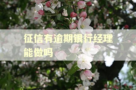 征信有逾期银行经理能做吗