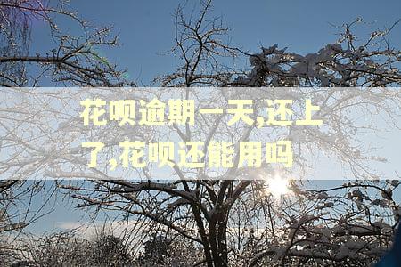 花呗逾期一天,还上了,花呗还能用吗