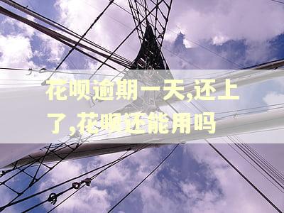 花呗逾期一天,还上了,花呗还能用吗