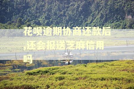 花呗逾期协商还款后,还会报送芝麻信用吗 花呗逾期协商还款后,还会报送芝麻信用吗