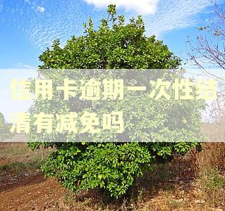信用卡逾期一次性结清有减免吗
