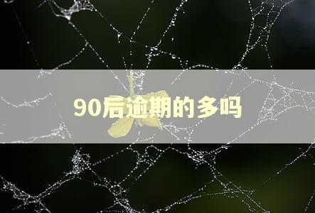 90后逾期的多吗