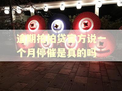 逾期拍拍贷官方说一个月停催是真的吗