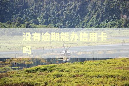 没有逾期能办信用卡吗