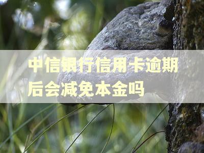中信银行信用卡逾期后会减免本金吗