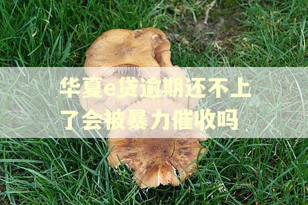 华夏e贷逾期还不上了会被暴力催收吗