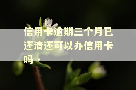 信用卡逾期三个月已还清还可以办信用卡吗