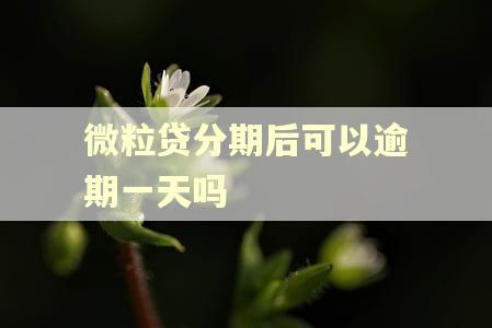 微粒贷分期后可以逾期一天吗 微粒贷分期后可以逾期一天吗