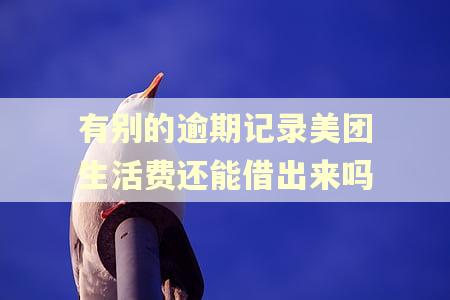 有别的逾期记录美团生活费还能借出来吗 有别的逾期记录美团生活费还能借出来吗