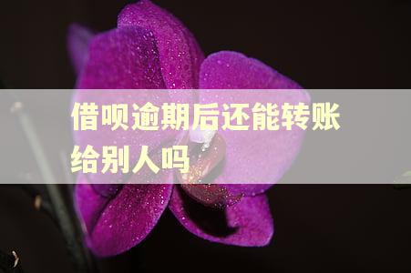借呗逾期后还能转账给别人吗