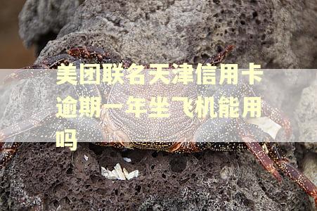 美团联名天津信用卡逾期一年坐飞机能用吗