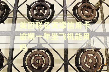 美团联名天津信用卡逾期一年坐飞机能用吗