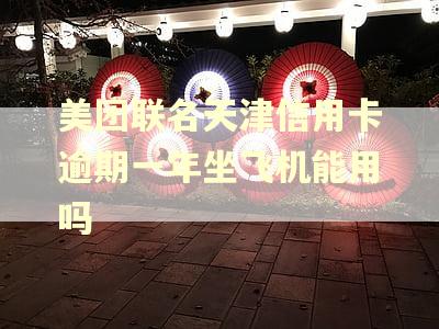 美团联名天津信用卡逾期一年坐飞机能用吗
