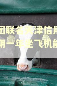 美团联名天津信用卡逾期一年坐飞机能用吗 美团联名天津信用卡逾期一年坐飞机能用吗