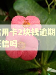 信用卡2块钱逾期上征信吗