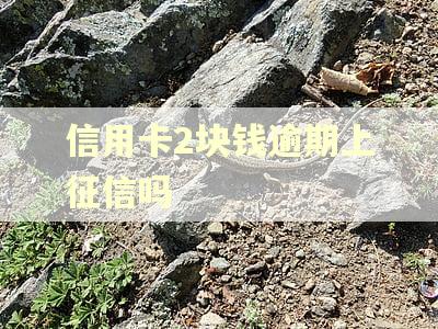 信用卡2块钱逾期上征信吗