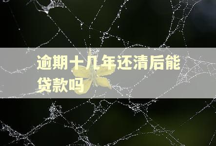 逾期十几年还清后能贷款吗
