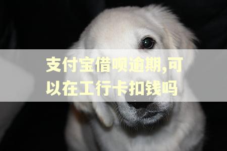 支付宝借呗逾期,可以在工行卡扣钱吗