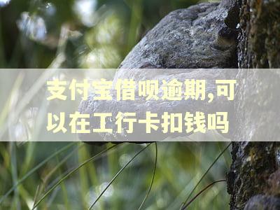 支付宝借呗逾期,可以在工行卡扣钱吗 支付宝借呗逾期,可以在工行卡扣钱吗