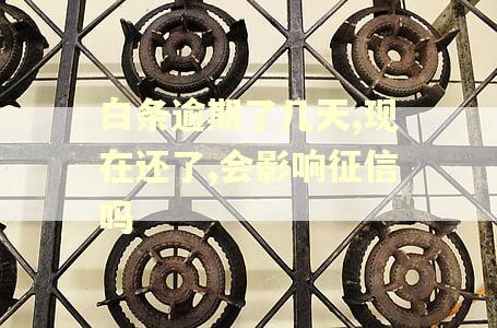 白条逾期了几天,现在还了,会影响征信吗
