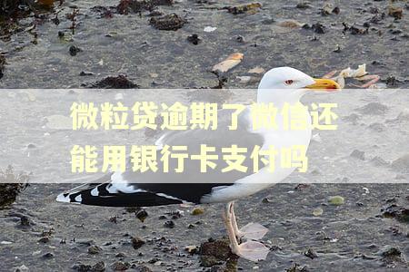 微粒贷逾期了微信还能用银行卡支付吗