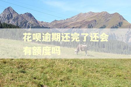 花呗逾期还完了还会有额度吗