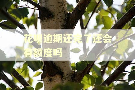 花呗逾期还完了还会有额度吗